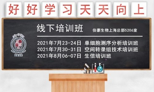 重磅！暑期系列培訓班開課通知，6 月報名可享優(yōu)惠！