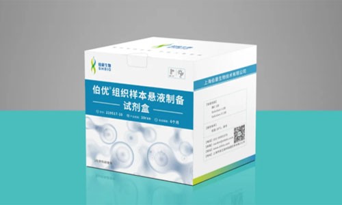 服務 + 產品 |  伯豪生物單細胞懸液制備解決方案！