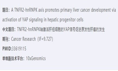 項目新文 | Cancer Research 單細胞測序輔助探索肝祖細胞原發性肝癌的秘密