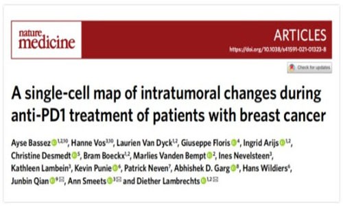 Nature | 乳腺癌免疫治療反應機制及預測治療新方法
