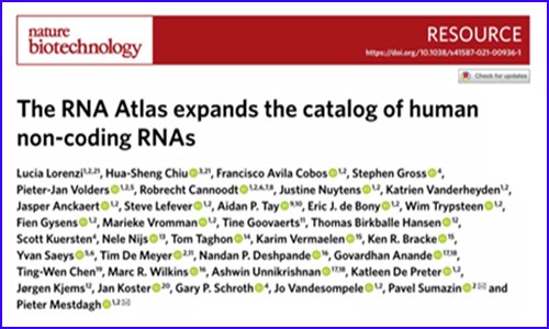 更全面的人類轉錄組圖譜 | 基于 300 種人類細胞和組織類型繪制，非編碼 RNA 數量增加 8%