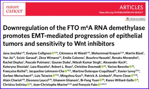Nature Cancer 發文 |RNA 甲基化狀態與多種上皮癌的侵襲和轉移表型密切相關