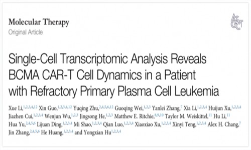 文獻解讀 | 單細胞轉錄組分析抗 BCMA CAR- T 細胞對白血病患者治療作用