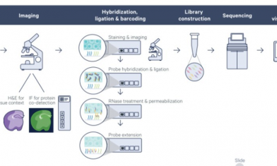 活動即將滿額 |FFPE 空間轉錄組內測福利再不約就晚了！