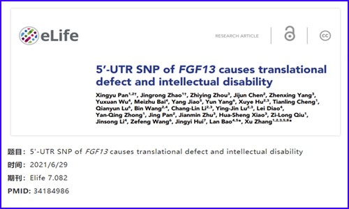 項目新文 | 全基因組測序技術揭示智力障礙致病性新突變位點的作用機制