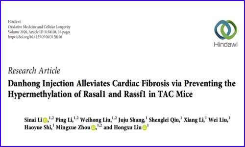 甲基化項目新文 | 丹紅注射液可抑制 Rasal1 和 Rassf1 基因的高甲基化緩解心肌纖維化