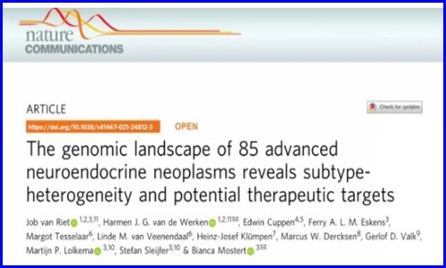 Nature Communications | 大規模晚期神經內分泌腫瘤全基因組測序揭示亞群異質性和潛在治療靶點