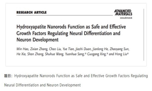 項目文章 IF=30.849| 常規轉錄組技術揭示羥基磷灰石納米材料可加快神經分化和神經元發育