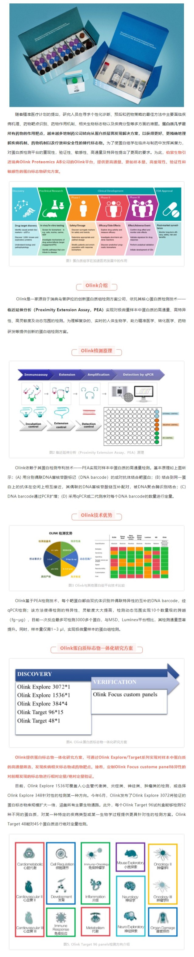 網頁捕獲_15-8-2021_201043_mp