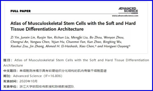 發育生物學 | 單細胞測序揭示肌肉骨骼干細胞分化圖譜