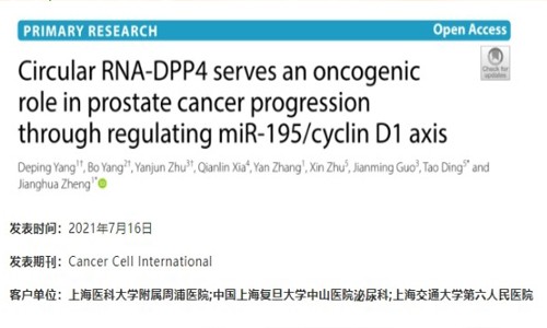 項目文章 | 環狀 RNA-DPP4 通過 miR-195/ 細胞周期蛋白 D1 軸來調節前列腺癌的進展