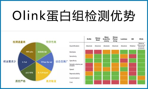 Olink 蛋白組在藥物靶點篩選中的研究方案