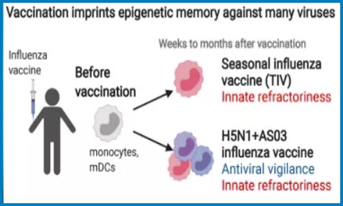 單細胞抽核 | 單細胞測序聯合 scATAC-seq 分析疫苗接種刺激免疫系統后的表觀基因重構
