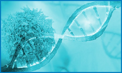 Nature Genetics | 發表乳腺癌單細胞空間分辨圖譜，鑒定與細胞異質性和預后相關的九種亞型