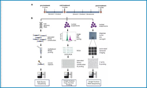 單細胞多組學 | 揭示三陰性乳腺癌的耐藥進化機制