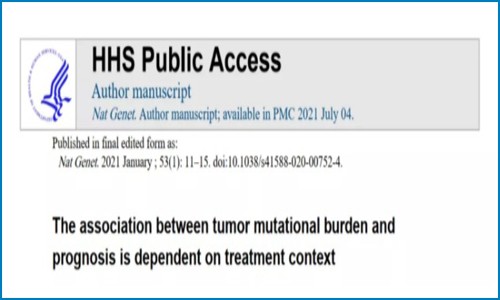 腫瘤免疫治療療效丨腫瘤突變負荷知多少