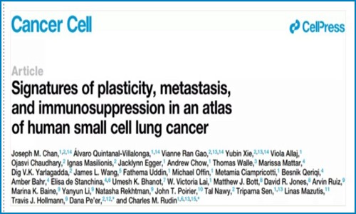Cancer Cell | 基于小細胞肺癌單細胞圖譜，鑒定與轉移、免疫抑制及預后相關的細胞亞群