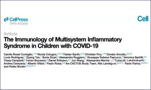 應用專題 | 細胞因子檢測在 COVID-19 免疫系統調節中研究案例解讀