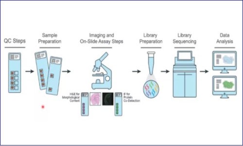 FFPE 樣本做空間轉錄組知多少？