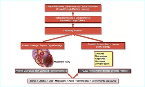 《歐洲心臟雜志》IF 29.983 | 一級預防：基于 Olink 改進心血管風險預測新方案