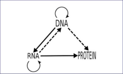 PEA 進化史 | 從中心法則洞見蛋白組質組學發展未來