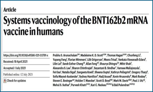 Nature 文章解析 | 多組學研究 mRNA 疫苗 BNT162B2 人體免疫應答