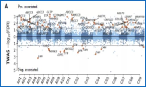 多組學聯合分析 | 萬金油 RNA-seq —— 聯合基因組學