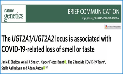 Nature genetics 高分文章解讀丨經典思路與新冠研究的碰撞