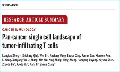文章解讀 | 單細胞測序揭示腫瘤浸潤性 T 細胞的泛癌單細胞圖譜