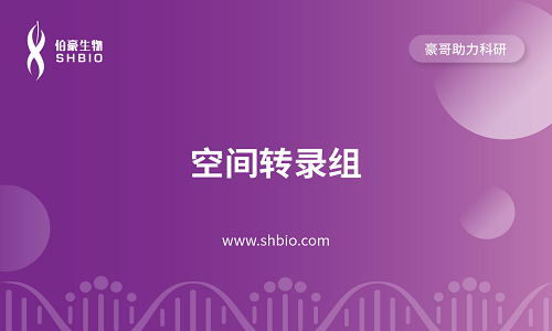 視頻合集 | 空間轉錄組