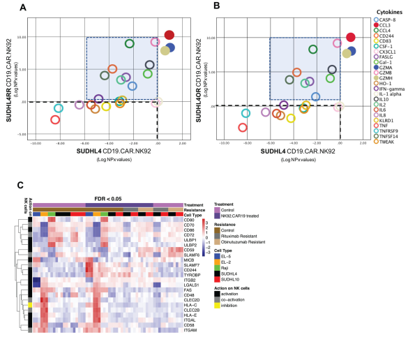  案例一分析結(jié)果 