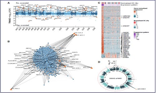 多組學聯合 | 分析萬金油 RNA-seq