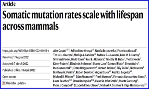 Nature | 為何動物的壽命差異那么大？跨物種單細胞測序揭示長壽密碼