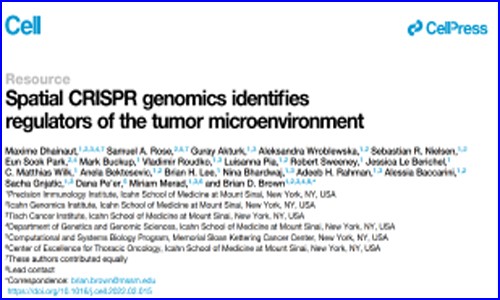 文獻解讀 | 空間 CRISPR 基因組學用于鑒定腫瘤微環境調節因子