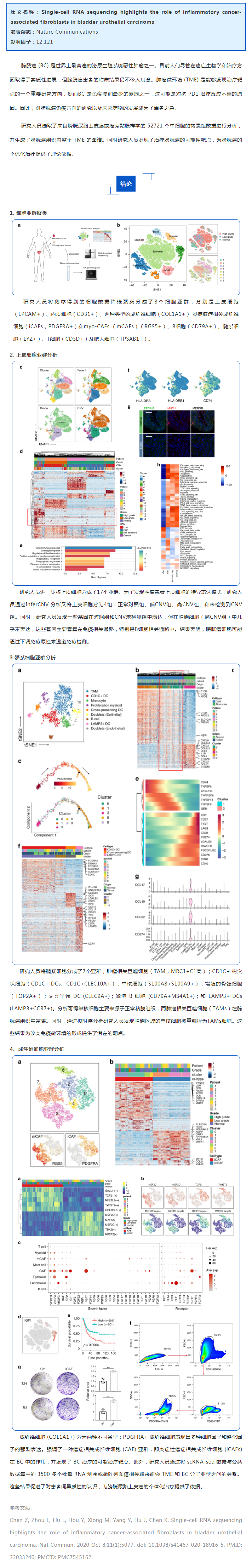 文獻解讀 | 單細胞測序研究膀胱癌中癌癥相關成纖維細胞