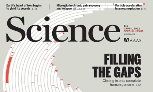 人類基因組圖譜 |Science 特刊 6 篇長文系統梳理 T2T 參考基因組研究成果