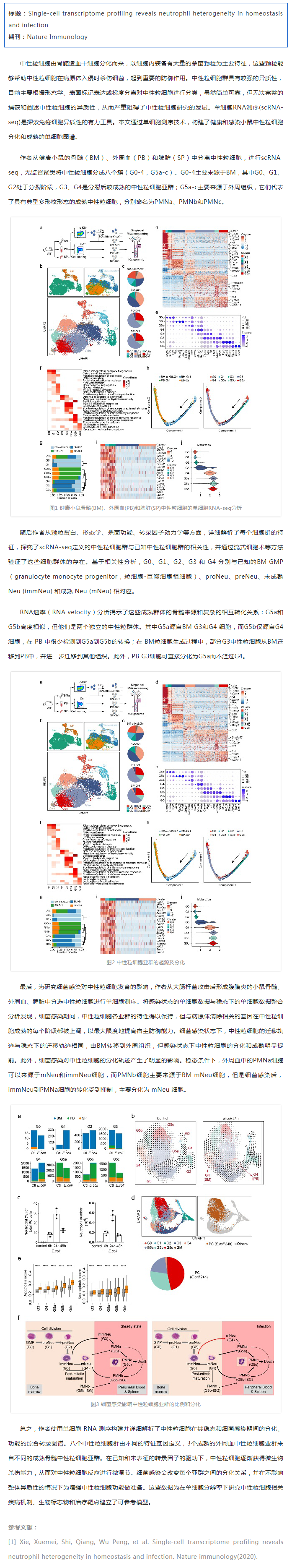 文獻解讀_單細胞 RNA 測序揭示健康和細菌感染小鼠中的中性粒細胞異質性