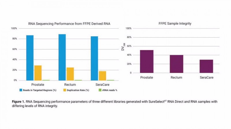 無論 RNA 質(zhì)量如何，均能獲得穩(wěn)定的基因表達結(jié)果
