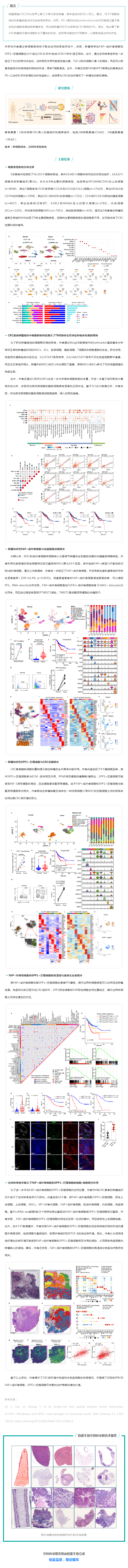 空轉實驗文章 NC- 上海免疫所蘇冰_葉幼瓊團隊揭示結直腸癌腫瘤邊界間質細胞與巨噬細胞互作模式