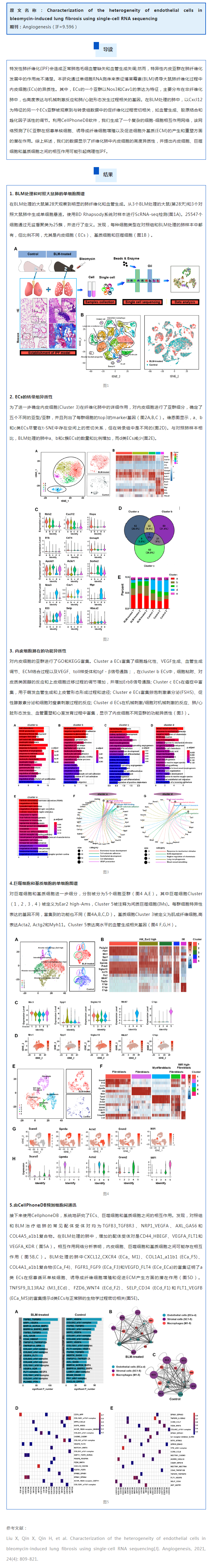 文獻解讀 | 單細胞 RNA 測序鑒定博萊霉素誘導的肺纖維化中內皮細胞的異質性