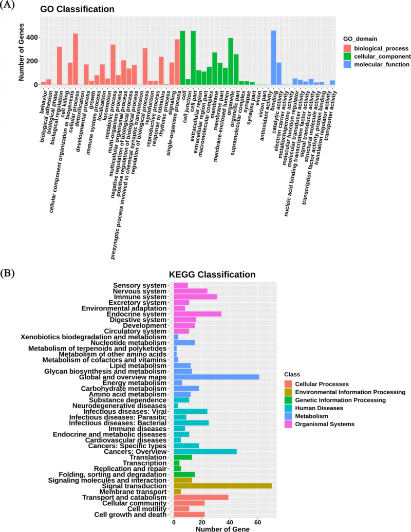 甲基化芯片篩選結果 2
