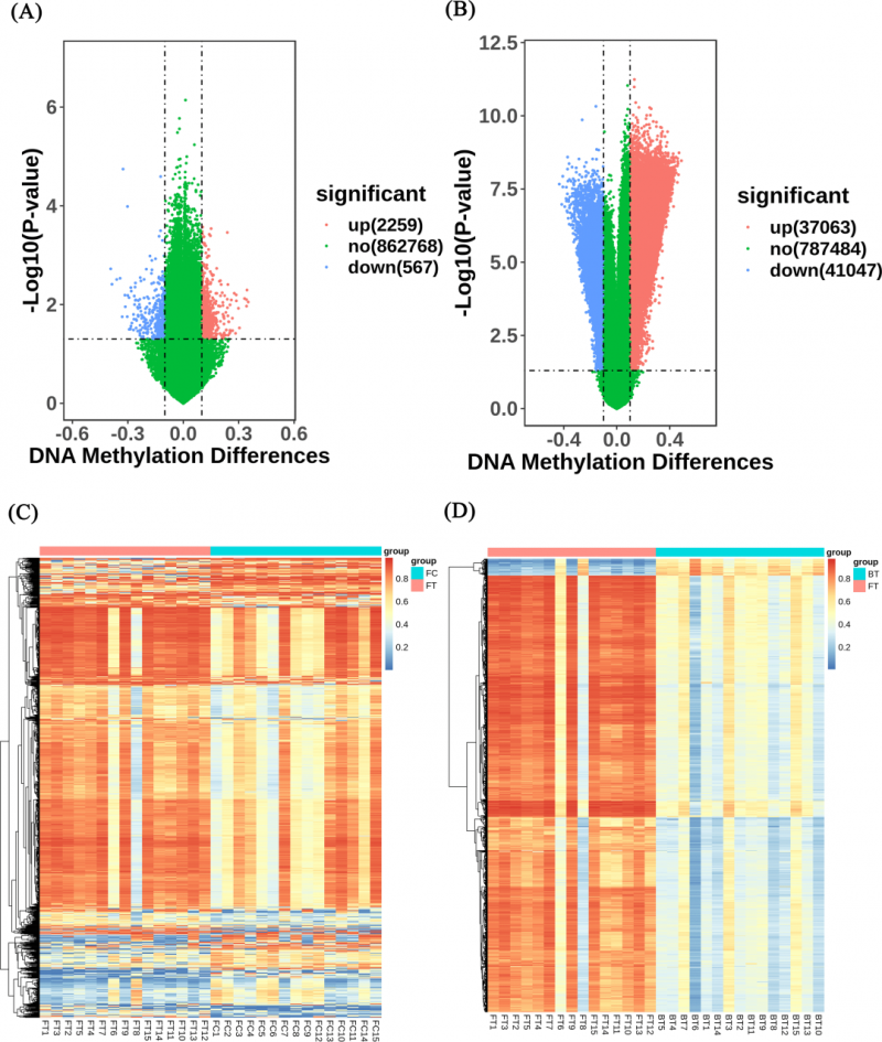 甲基化芯片篩選結果