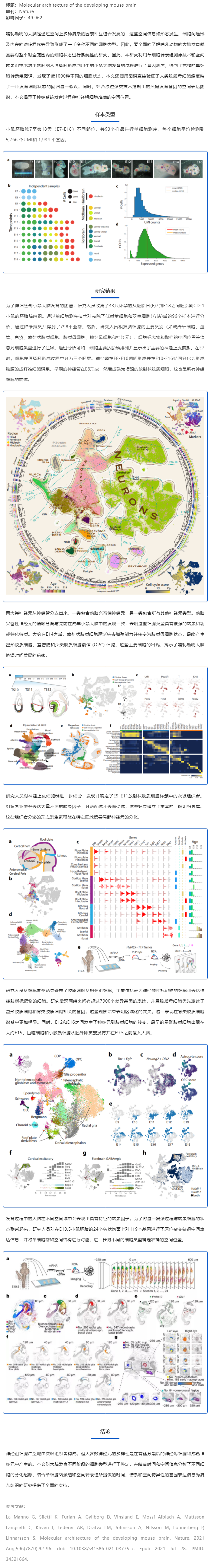 文獻分享_單細胞測序探究小鼠胚胎時期腦組織發育過程