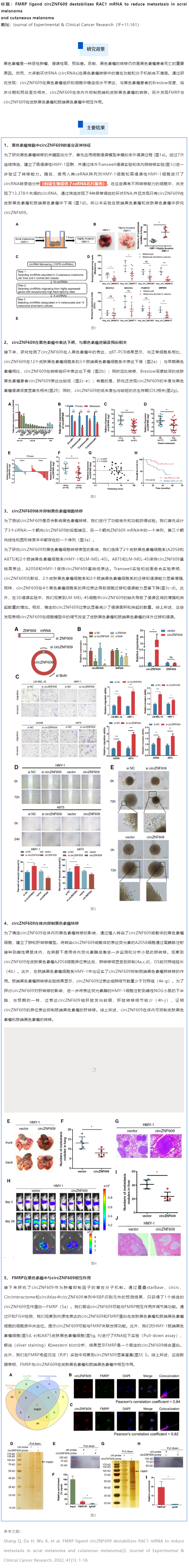 項目文章_伯豪生物 circRNA 測序助力在肢端和皮膚黑色素瘤的轉移中發揮重要作用的調控因子 --cir 副本