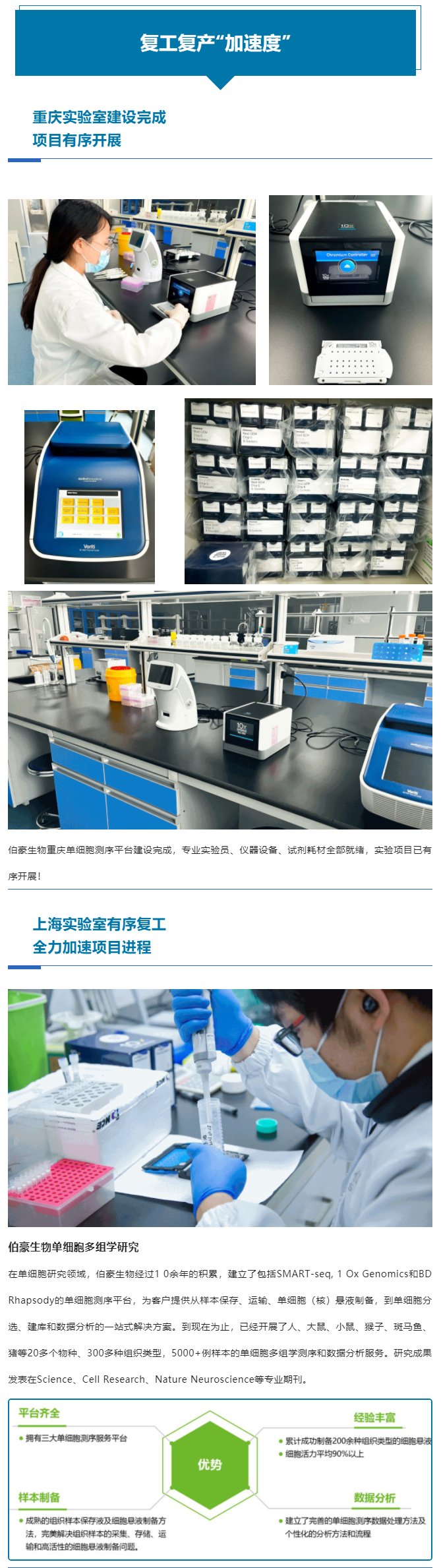 上海重慶齊頭并進，全力以“復”跑出復工復產“加速度”