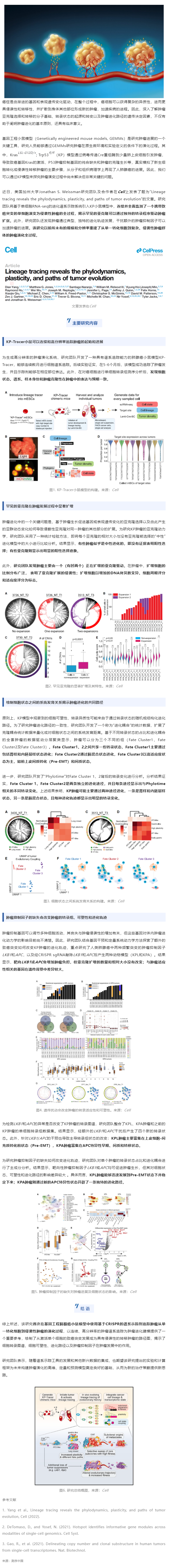 Cell| 首次大規模高分辨率揭示從一個攜帶致癌突變的單細胞演變為侵襲性腫瘤的全過程