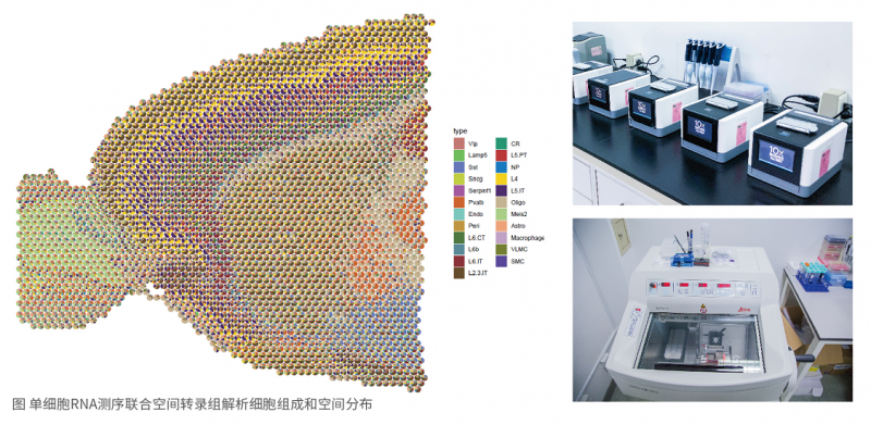 時空組學(xué)儀器設(shè)備