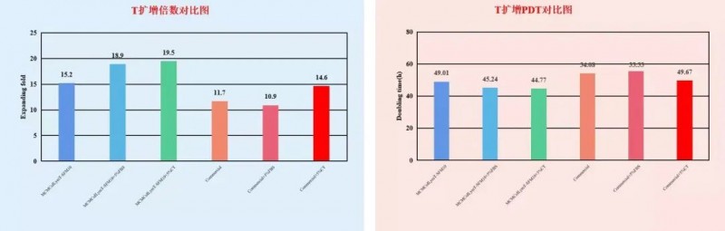 T 細胞在 MCMCulLymT-SFM10 中靜置培養(yǎng)效果對比