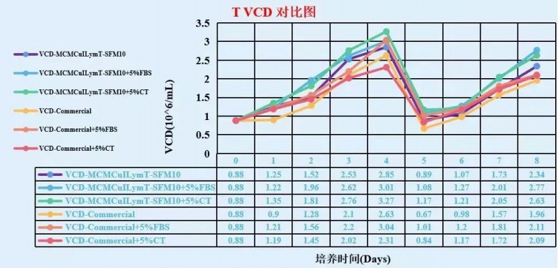 T 細胞在 MCMCulLymT-SFM10 中靜置培養(yǎng)效果