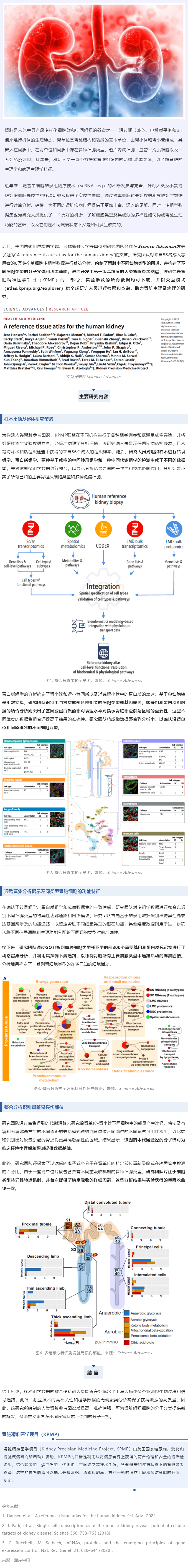Sci Adv _ 基于 8 萬 + 單細胞多組學數據成功繪制第一版高精度人類腎臟參考圖譜